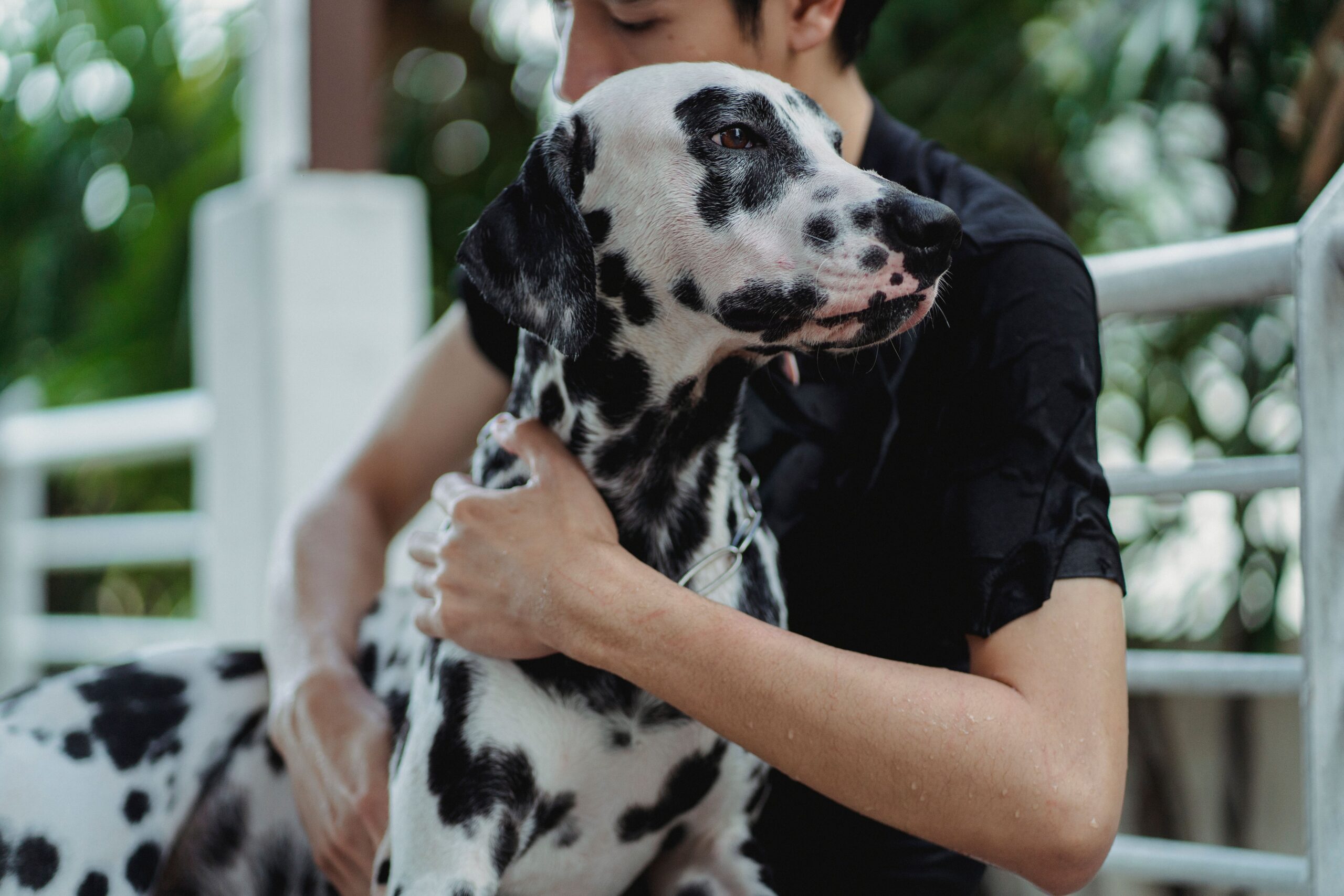 Segnali biologici collegano longevità umana e canina: le nuove scoperte