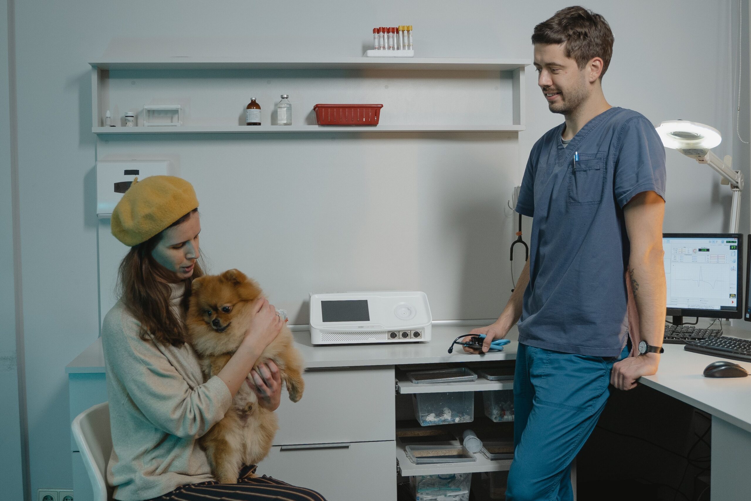 VetBook: dalla storia della cagnolina Greta nasce una startup per la salute animale